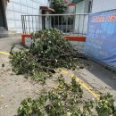 동선주유소 이미지