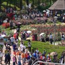 곡성-231 이미지