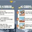 동탄 청림태권도장 이미지