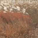 신라대학교 이미지