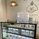 디어 마이 망고 이미지