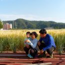 푸른들농산 - 부천시 원미구 조종로49번길 31 | 푸른들농산