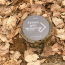 수원팔색길 도란길 | 수원둘레길, 수원팔색길, 도란길 산책