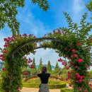 장미어린이공원 화장실 이미지