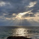 코로나 이후를 생각하며 이미지