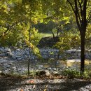 별이 빛나는 밤에 펜션 캠핑 이미지