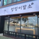 멍멍이발소 이미지