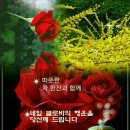 화려한오늘