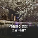 롯데쇼핑(주)롯데마트월드타워점 | 석촌호수 벚꽃 조명 꺼진이유 실시간 주말 야경 후기
