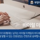 부엉이100형제