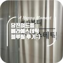 당진시 밤절로2 | 당진여드름 당진피부관리 베라에스테틱 블루필후기!