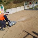 영화초교병설유치원 이미지