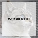 색연필 드로잉 시작하기 이미지