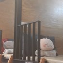 놀숲나주
