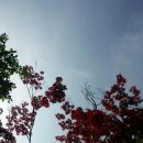 산책로가 아름다운 광림비전랜드 ☆