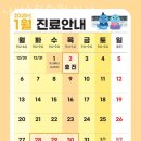 나비솔한의원 | 송파구 삼전동 한의원 나비솔한의원 잠실 진료시간 접근성 이용후기