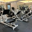 아몬드피트니스 이미지