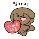 트리트멍트 이미지