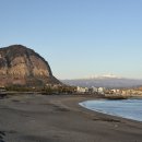 꿈in게스트하우스 | 제주도 소규모 파티 산방산 근처 적당한 게스트하우스