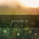 프로젝트33