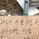 미묘북 이미지