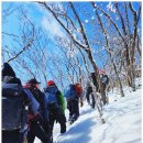 무룡고개 1쉼터 | 영취산(원통재~감투산~원통재~절고개~서래봉~백운산~암봉~영취산~무룡고개주차장(12.44k) 25.2.9. 일요일