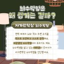 차동물병원 이미지