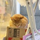 순천만 포차 이미지
