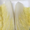 홍두깨해물칼국수 이미지