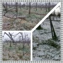 새신바람 이미지