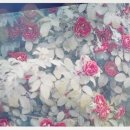 프리마호텔 이미지