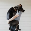 하남애견훈련소 이미지