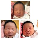 (주)목동라테라산후조리원 이미지