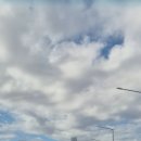 배티농장 | [(광고X)영종도 맛집&amp;카페 추천] 서울 근교 가족여행👨‍👩‍👧‍👧, 영종도 가족여행 코스 추천, 바다앞테이블...