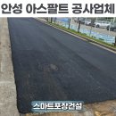 유성카부분정비공장 | 안성 아스팔트 공사업체 공장 갈라진 아스콘 포장 작업 후기