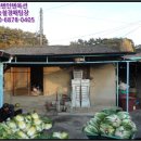 구산면593 이미지