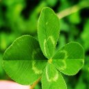 이리남창초등학교 이미지