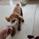 그룸 앤 먼치 이미지