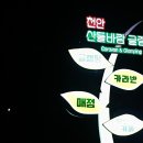 천안글램핑장 산들바람글램핑 바람B 후기