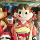 스시회관 이미지