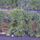 대아자동차공업사 이미지