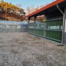 다온 펫 살롱 | 예천군 유기동물보호소 입양 및 목욕후기 #유기견 강아지 #사지말고입양하세요.