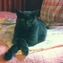 너와나,묘연 이미지