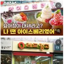 요아정 Daum카페