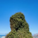 사라봉공원 이미지