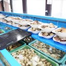 GS25대부바다점 이미지