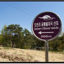 도천리 공룡 발자국 이미지