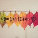 디지털 사진편집 이미지