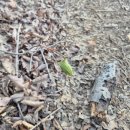 삼정삼거리 | 운길산~예봉산