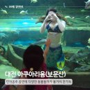 주식회사 닥터라곰 | 대전 아쿠아리움 인어공주 동물체험 아이랑 실내 가볼만한 곳